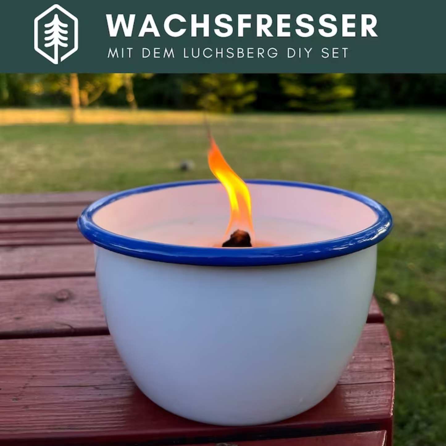 LUCHSBERG® Wachsfresser-Set | Wachsfresser selber machen - 2 x Dauerdocht und Kerzenwachs | DIY Kerzenfresser mit Wachsgranulat